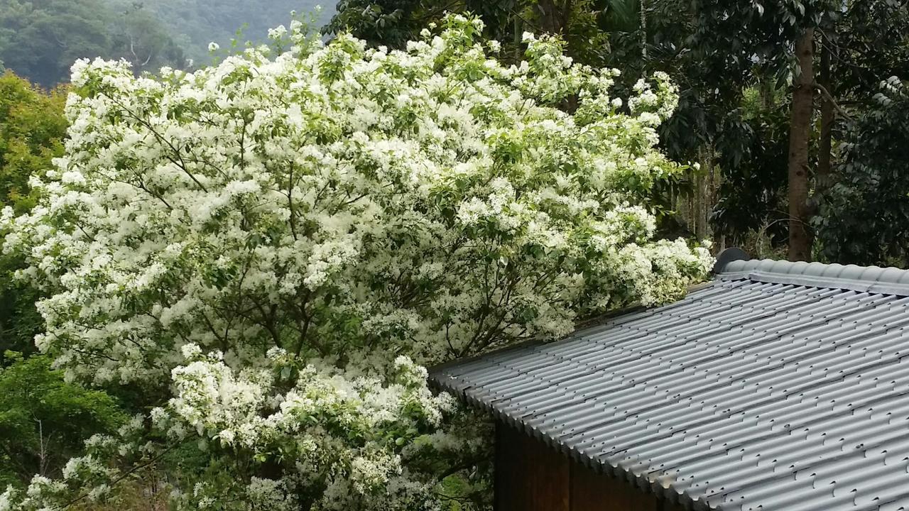 Bright Moon Homestay Dongshi  ภายนอก รูปภาพ